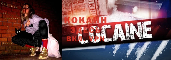 дмт Володарск